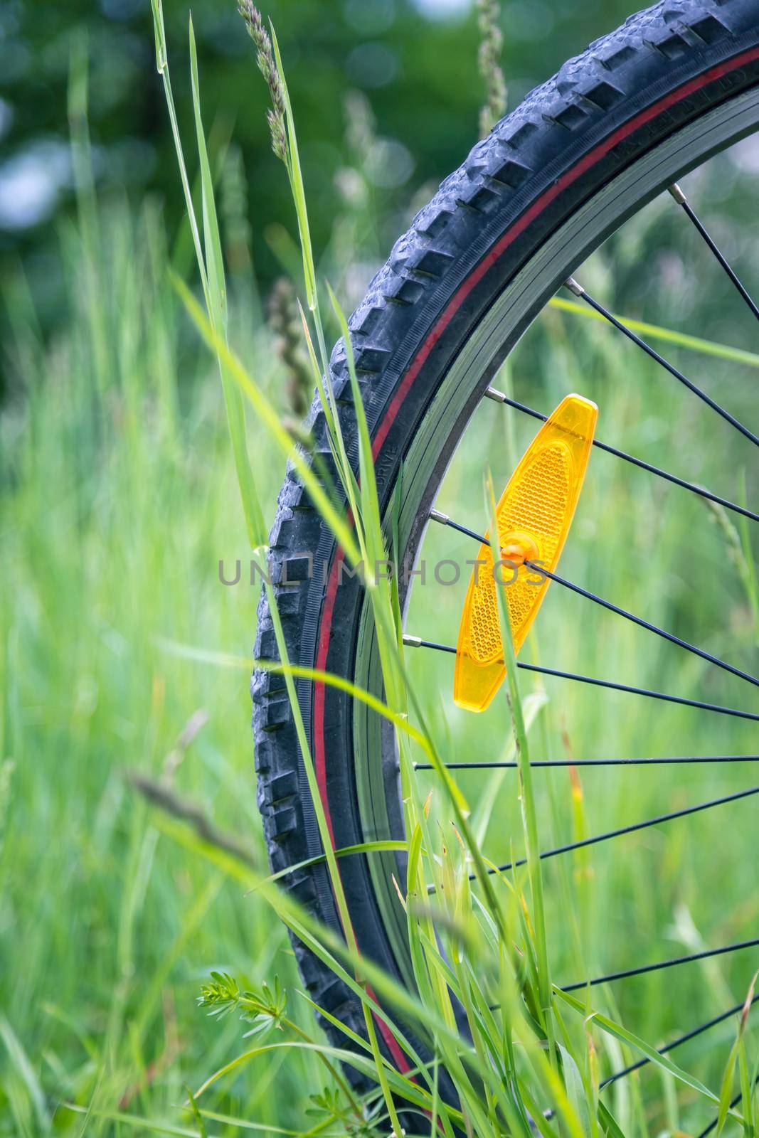 Close up picture of a mountain bike tire in the grass, summer day