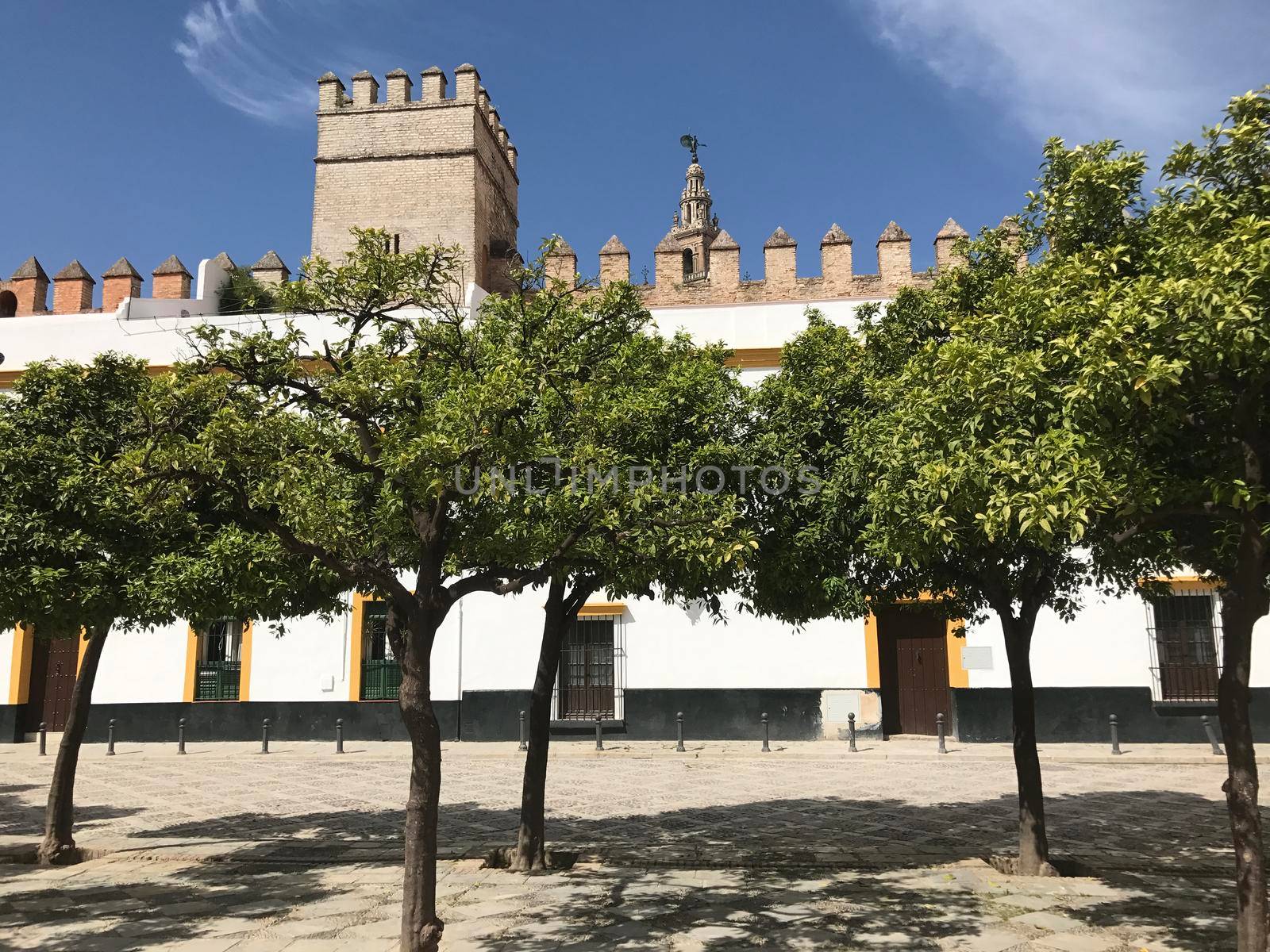 Plaza del Patio de Banderas in Seville Spain