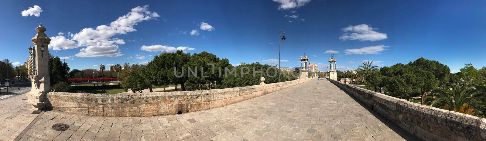 Panorama from the Puente del Mar bridge over the turia gardens in Valencia Spain