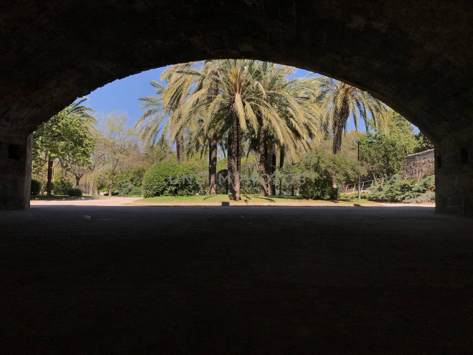 View from the Pont del Real at the Gardens of Turia in Valencia Spain