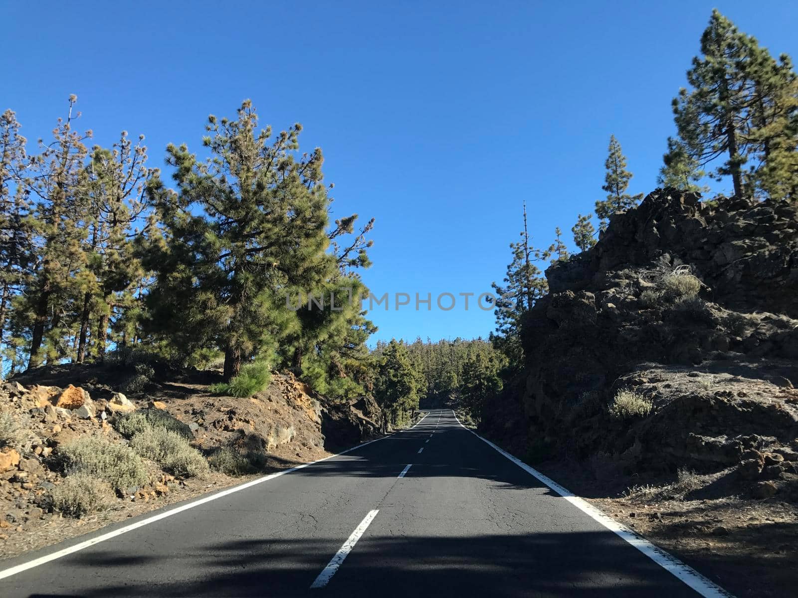 Road through Teide National Park at Tenerife Canary Islands