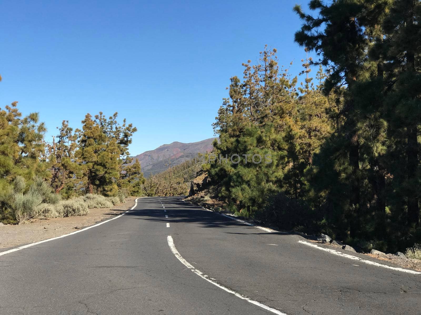 Road through Teide National Park at Tenerife Canary Islands