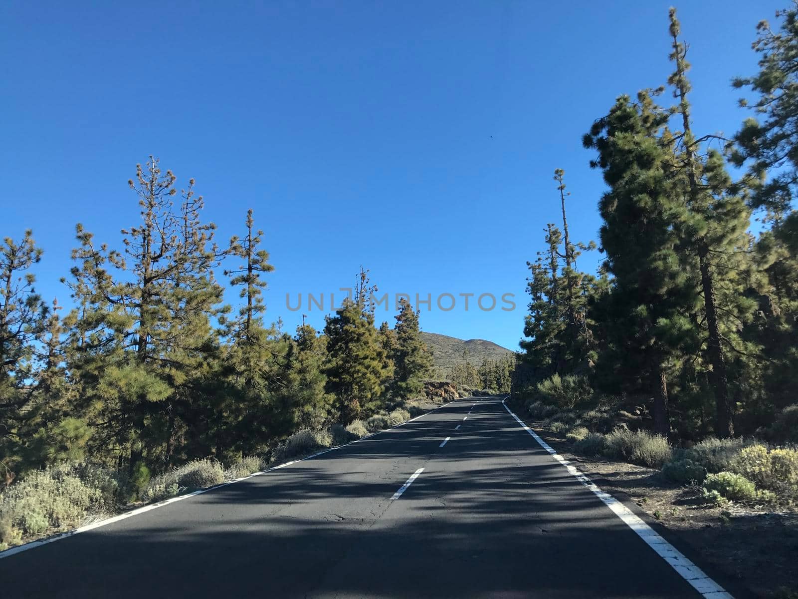 Road through Teide National Park  by traveltelly