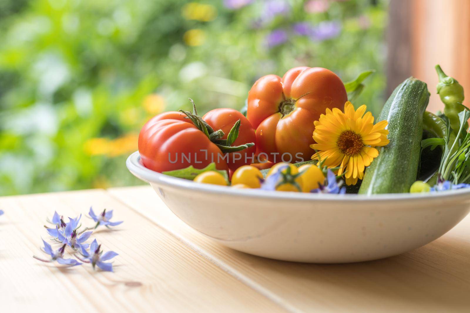 Urban gardening: Fresh cultivated vegetables grown up in the own garden. Tomatoes, zucchini and herbs by Daxenbichler