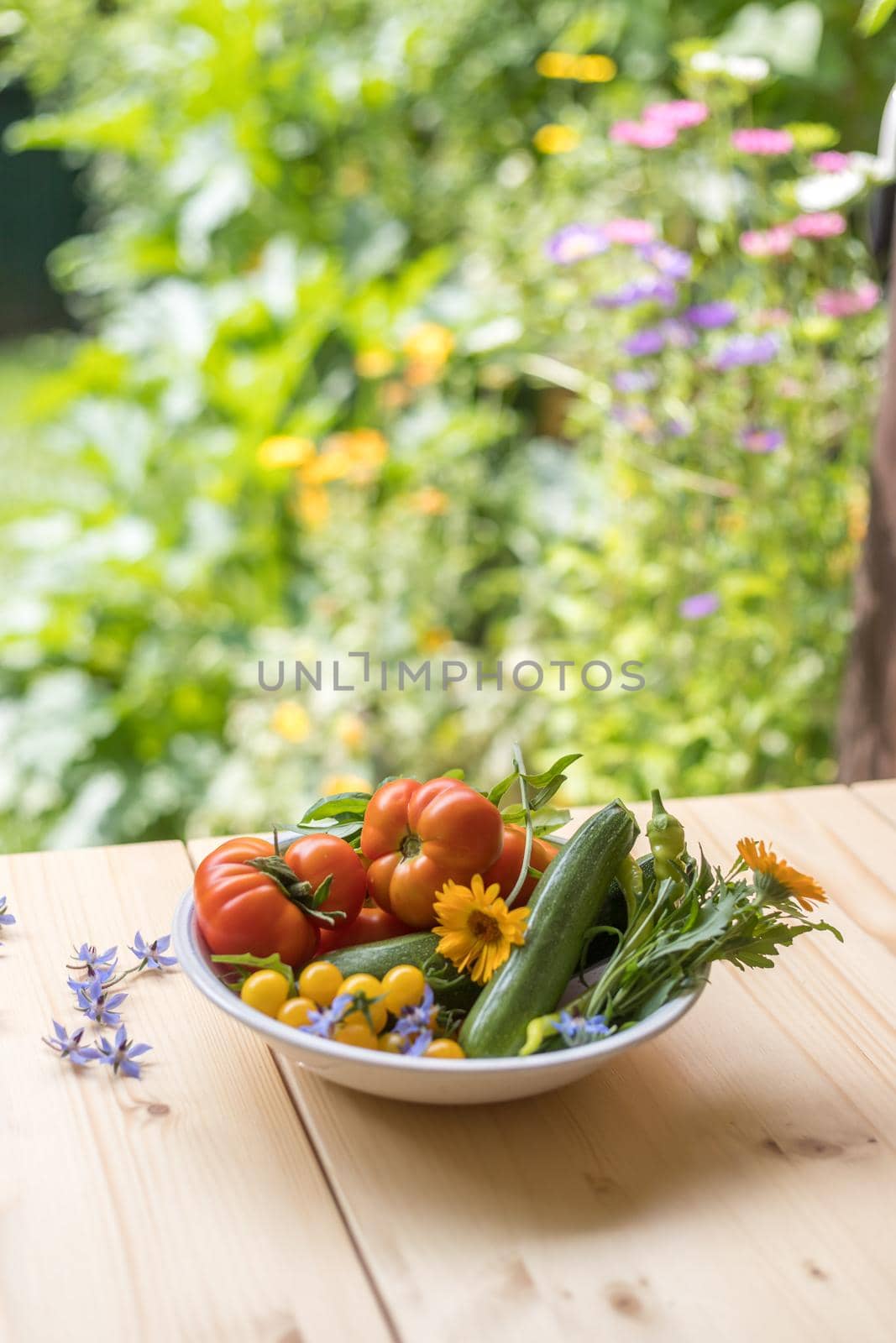 Fresh colorful vegetables in a bowl, raised in the own garden. Tomatoes, zucchini, flowers and herbs.