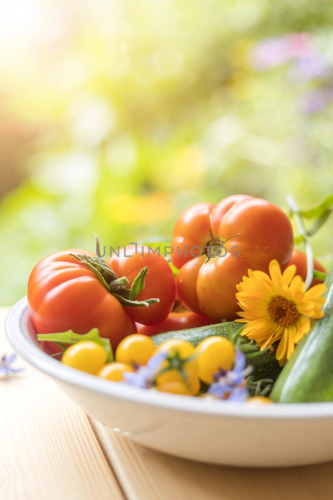 Fresh colorful vegetables in a bowl, raised in the own garden. Tomatoes, zucchini, flowers and herbs.