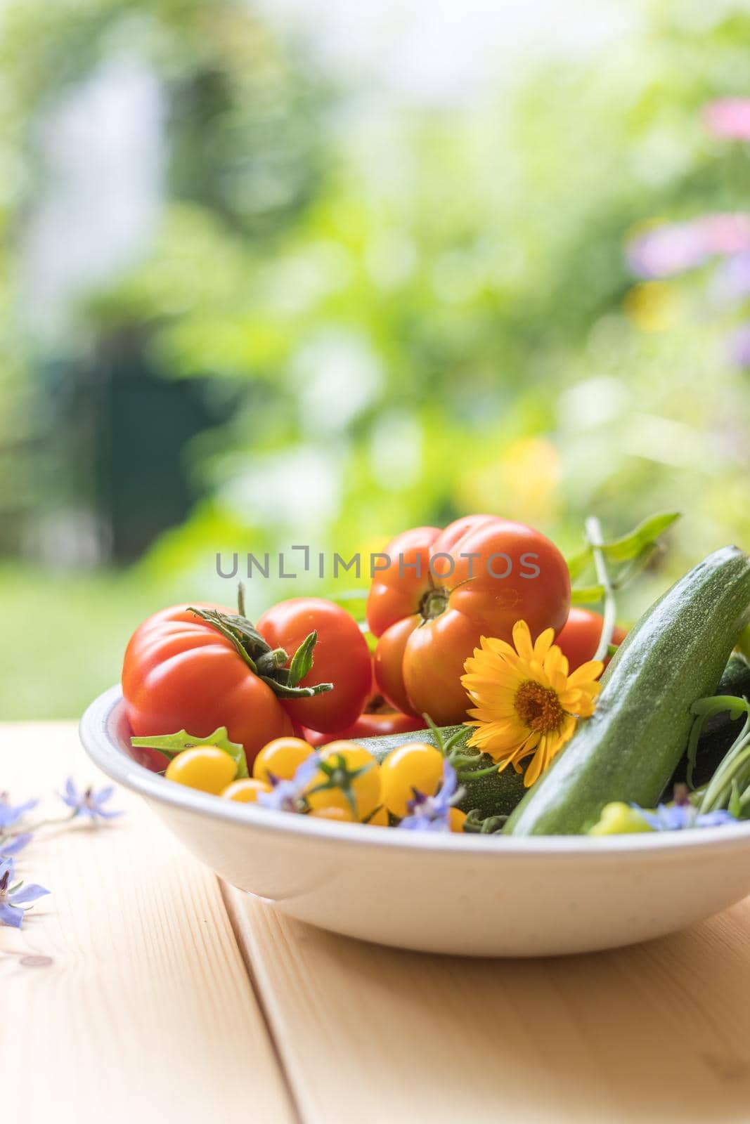 Fresh colorful vegetables in a bowl, raised in the own garden. Tomatoes, zucchini, flowers and herbs.