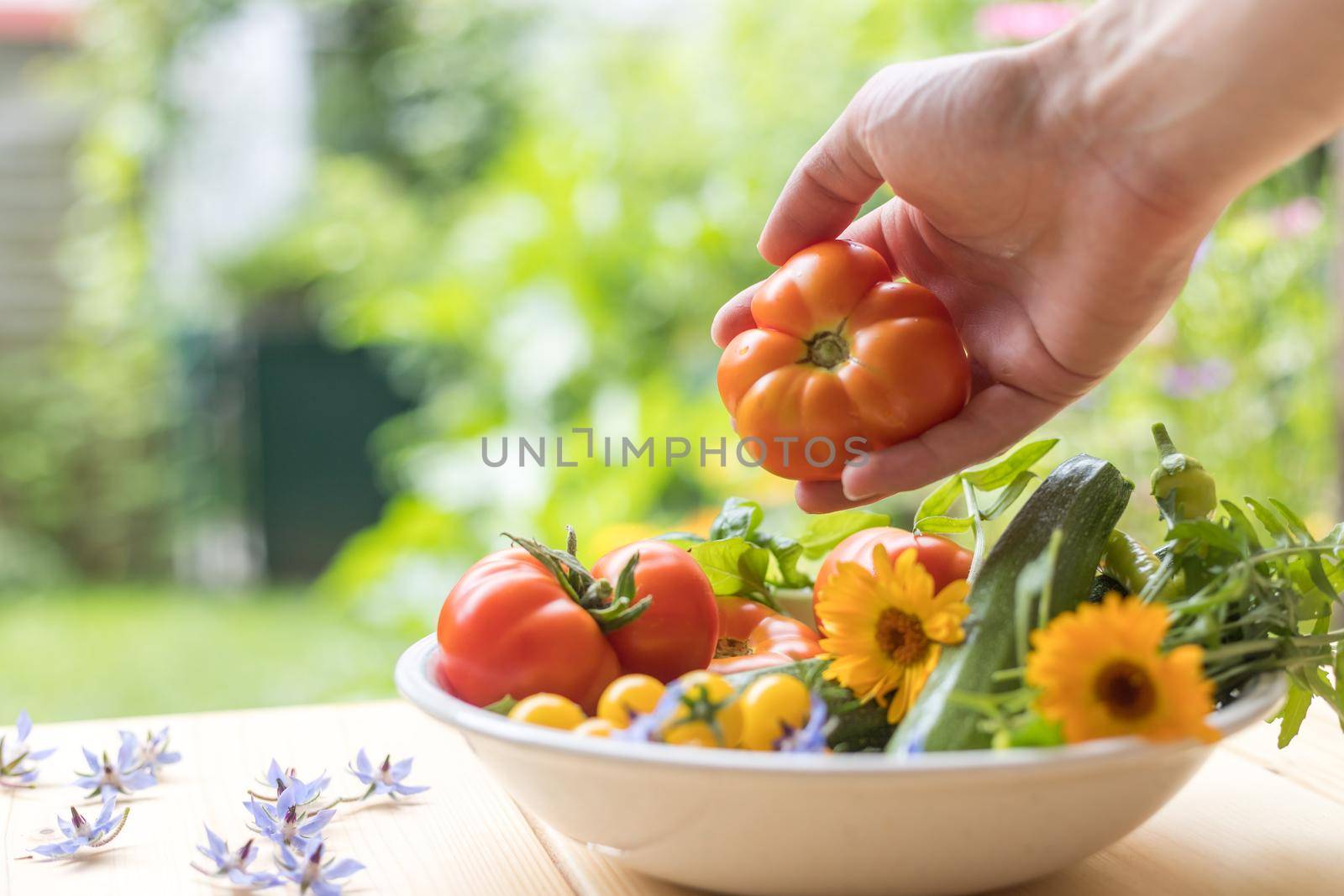 Fresh colorful vegetables in a bowl, raised in the own garden. Tomatoes, zucchini, flowers and herbs.