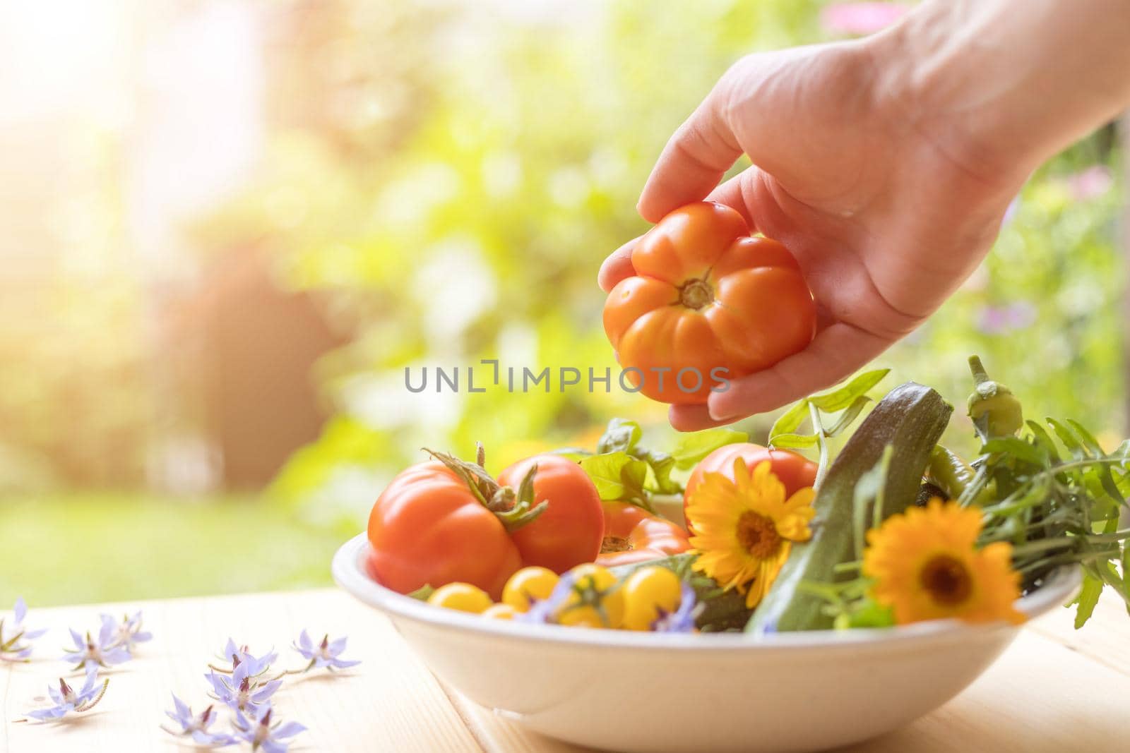 Fresh colorful vegetables in a bowl, raised in the own garden. Tomatoes, zucchini, flowers and herbs.