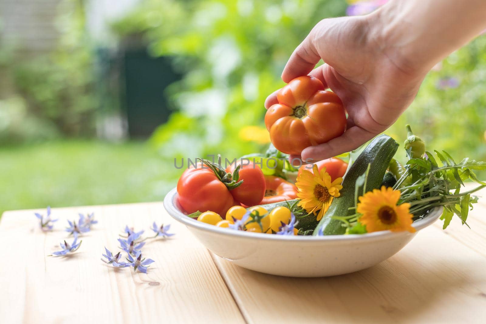 Fresh colorful vegetables in a bowl, raised in the own garden. Tomatoes, zucchini, flowers and herbs.