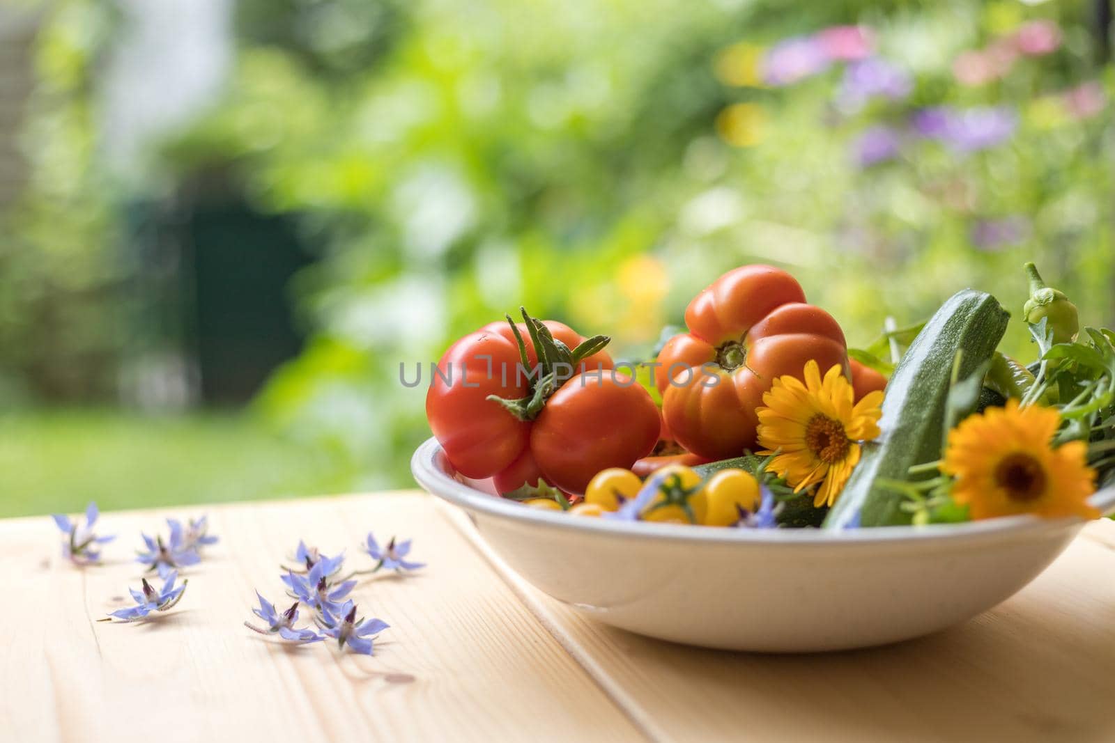 Fresh colorful vegetables in a bowl, raised in the own garden. Tomatoes, zucchini, flowers and herbs.