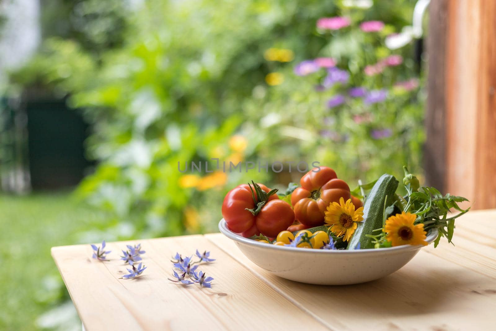 Fresh colorful vegetables in a bowl, raised in the own garden. Tomatoes, zucchini, flowers and herbs.