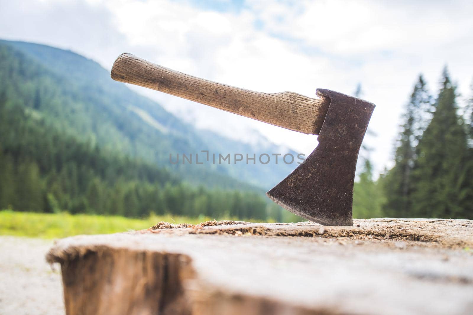 Close up of old axe attached to a tree trunk, countryside