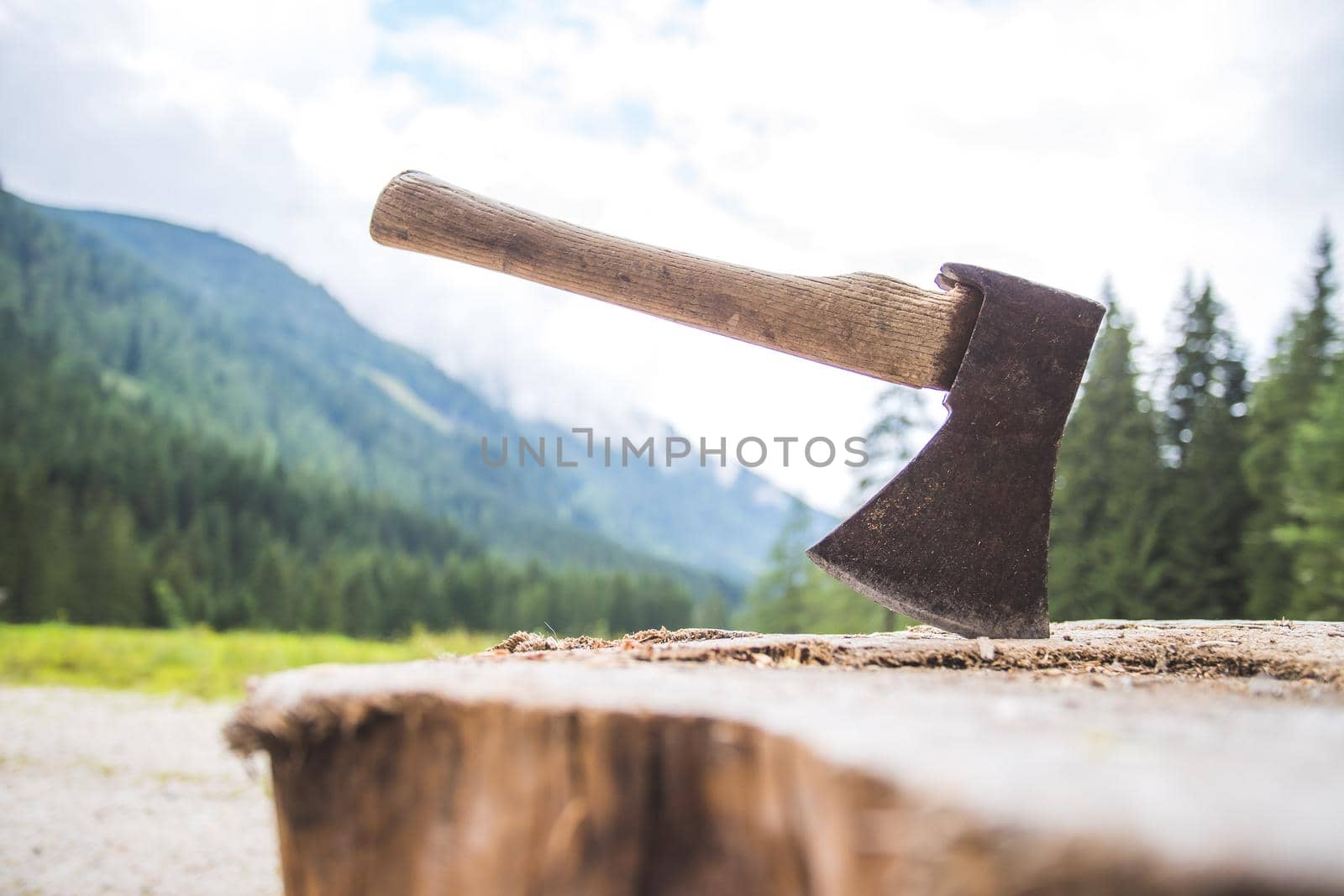 Close up of old axe attached to a tree trunk, countryside