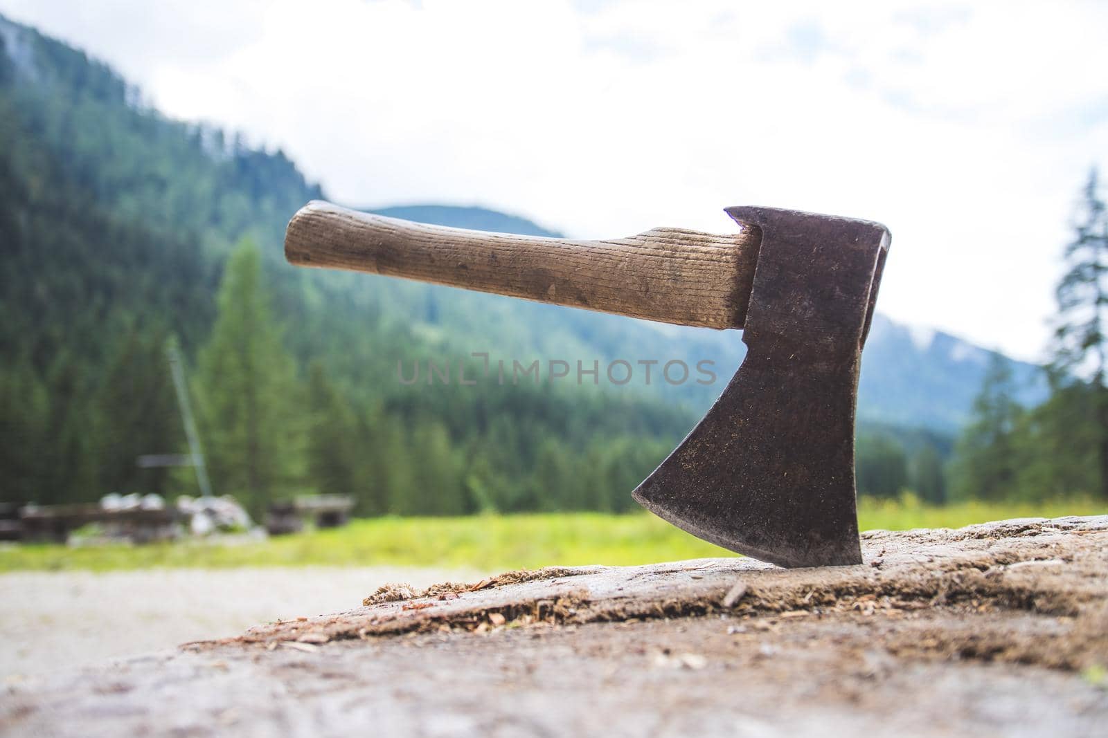 Close up of old axe attached to a tree trunk, countryside