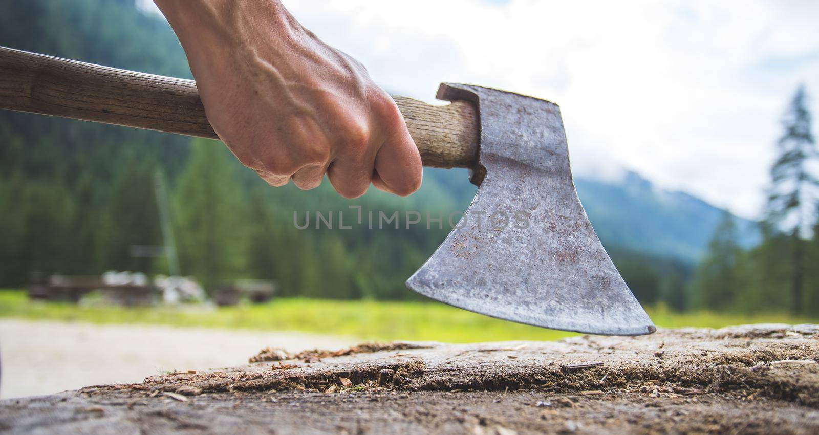 Close up of old male hand holding axe attached to a tree trunk, countryside
