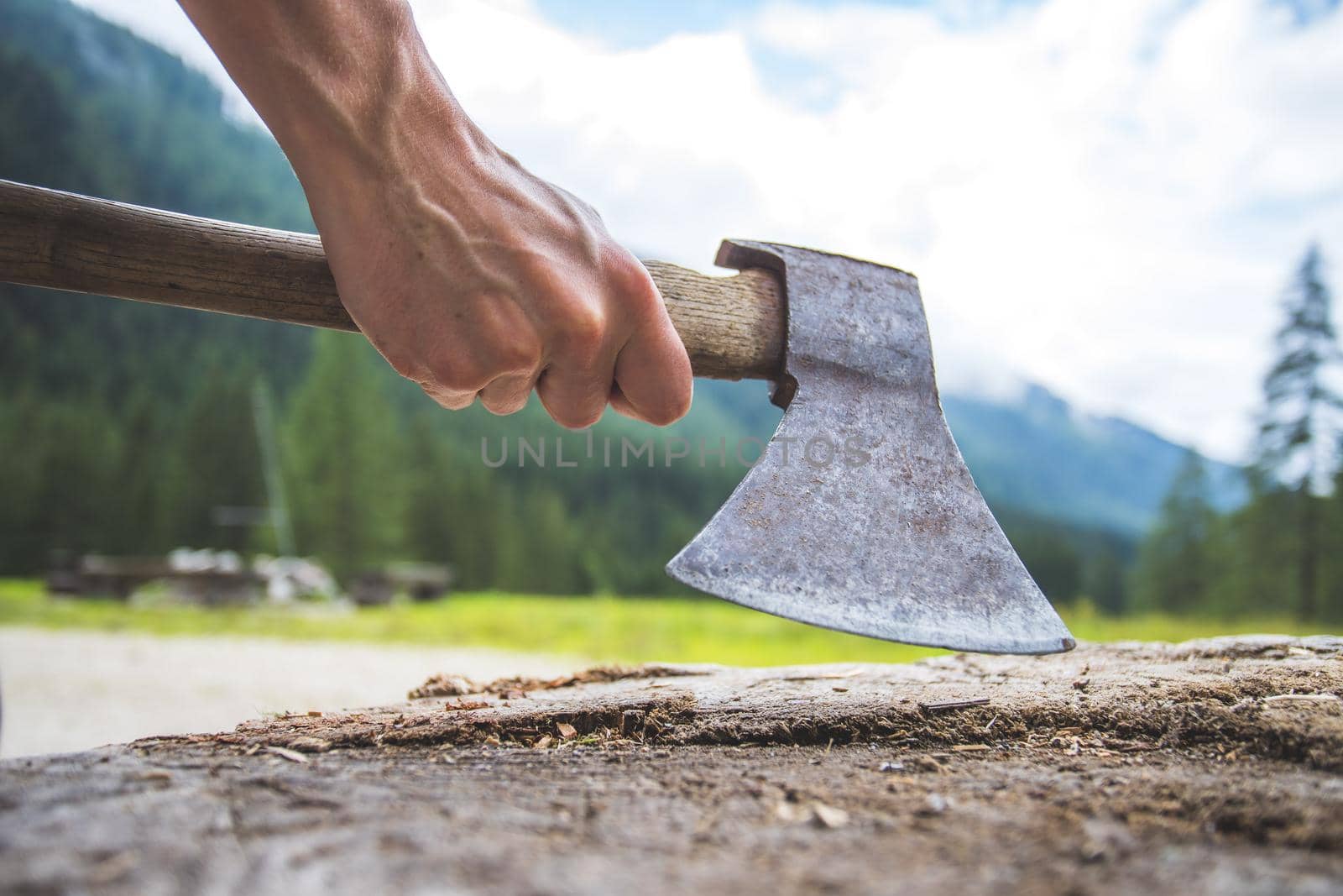 Close up of old male hand holding axe attached to a tree trunk, countryside