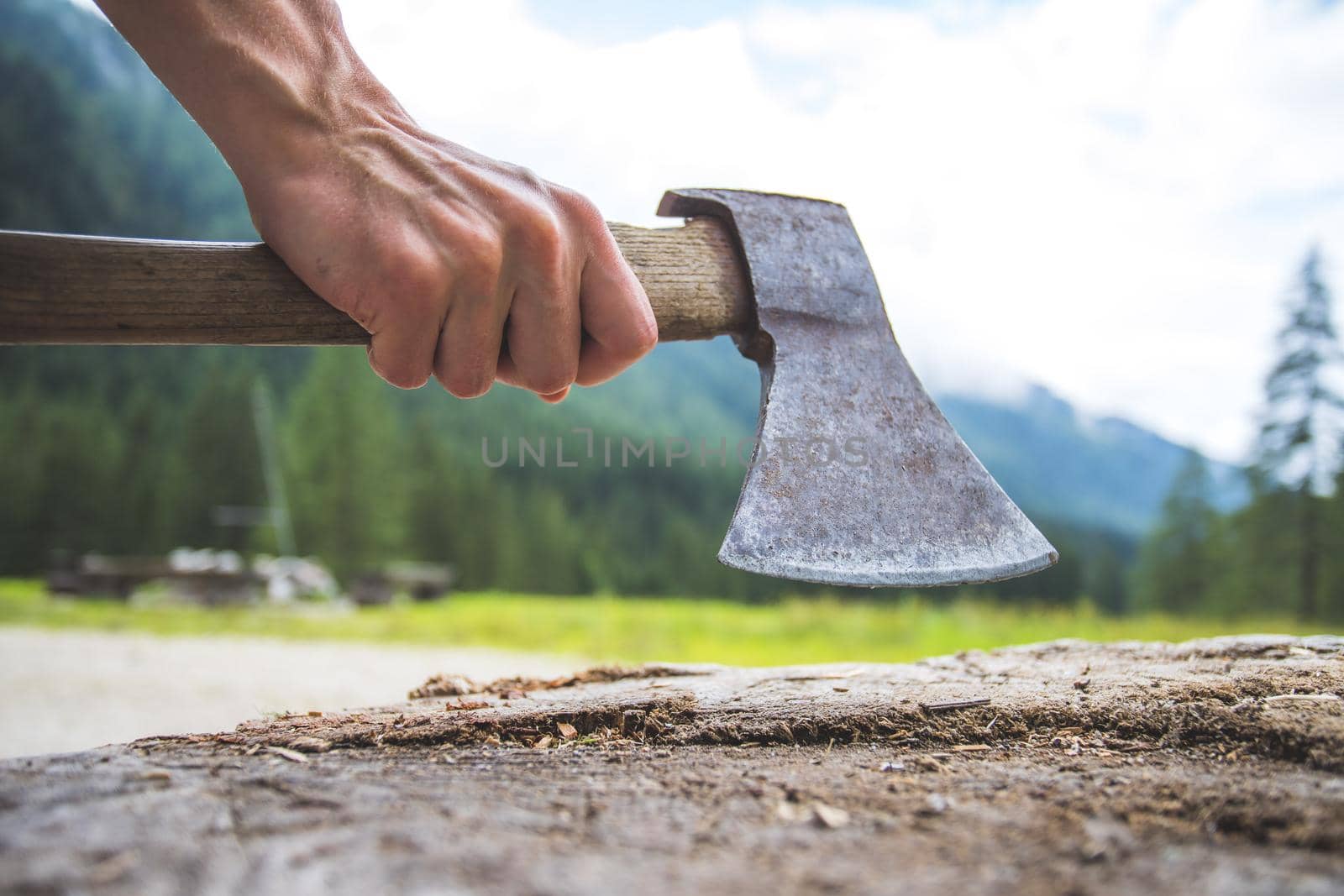 Close up of old male hand holding axe attached to a tree trunk, countryside