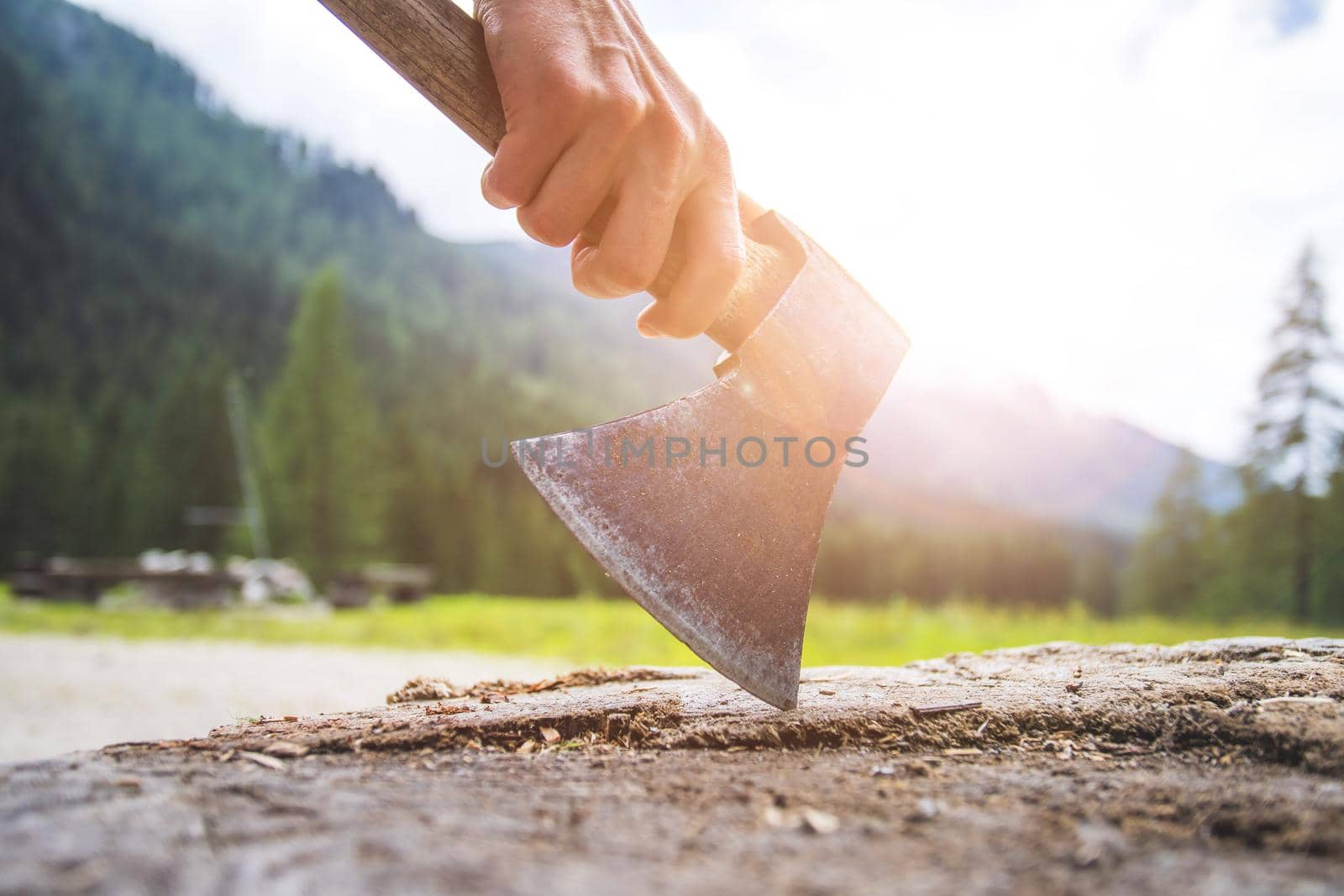 Close up of old male hand holding axe attached to a tree trunk, countryside