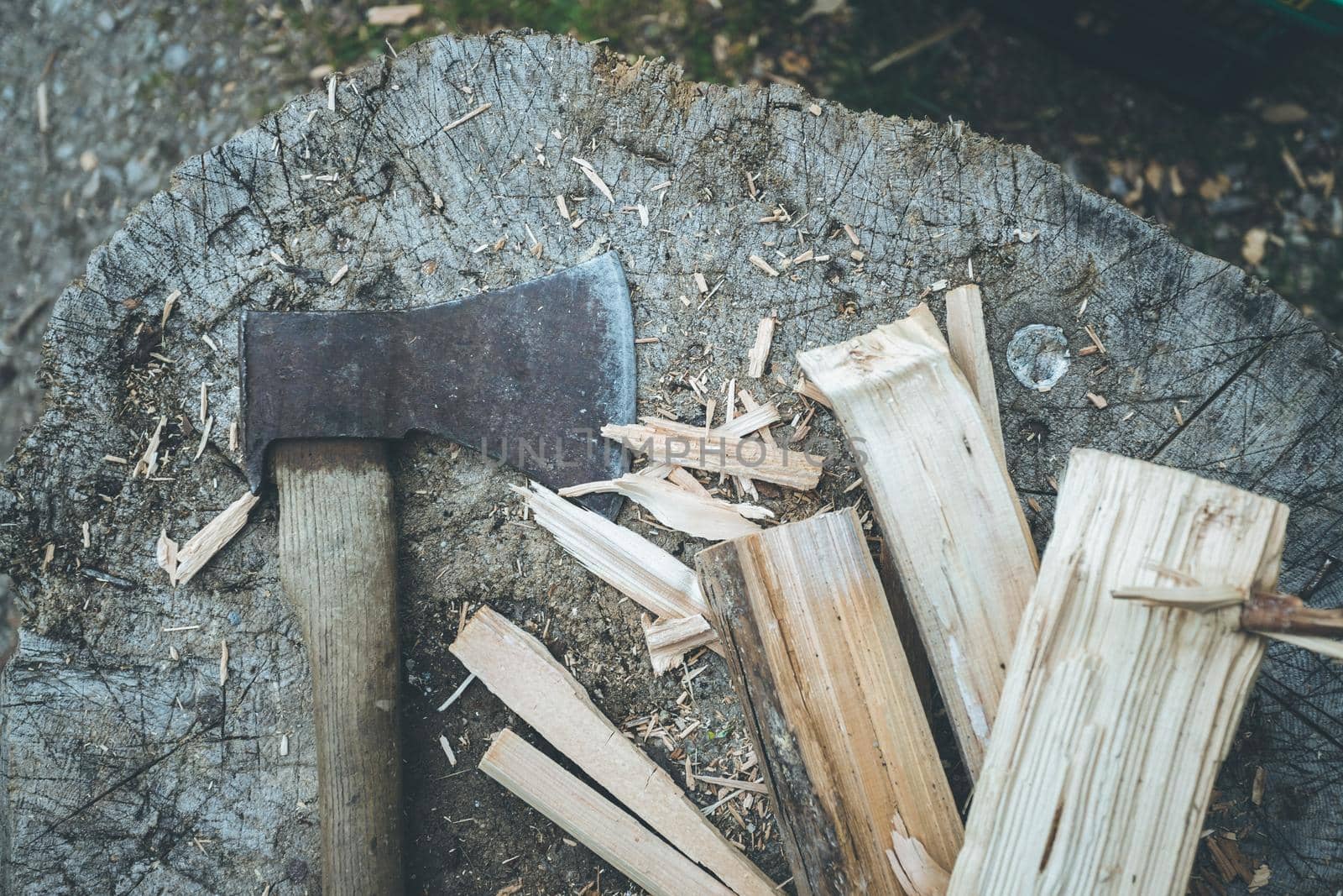 Close up of old axe attached to a tree trunk, countryside