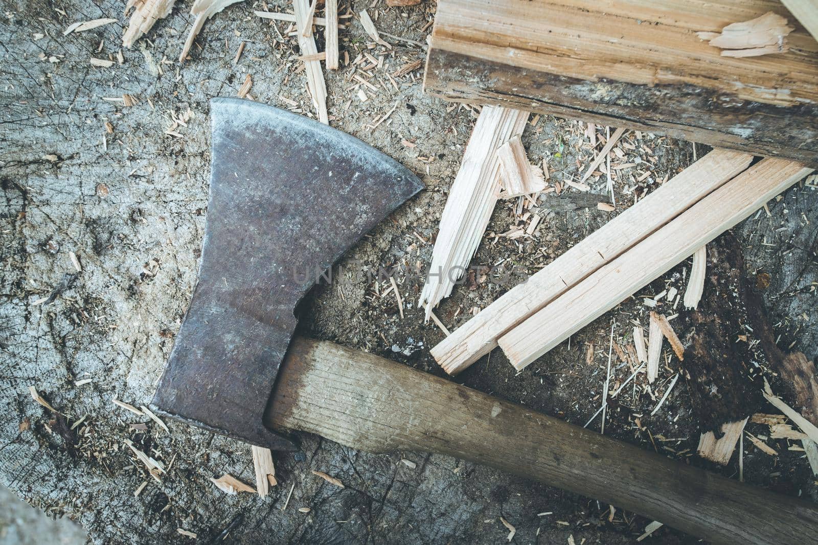 Close up of old axe attached to a tree trunk, countryside
