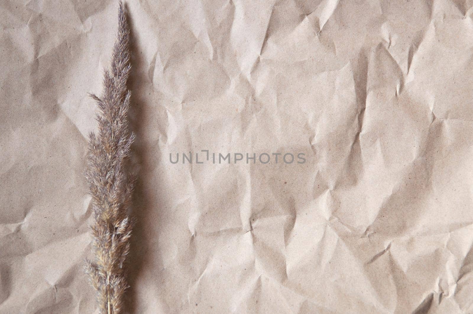 background of crumpled craft paper with dry flower in minimalism style