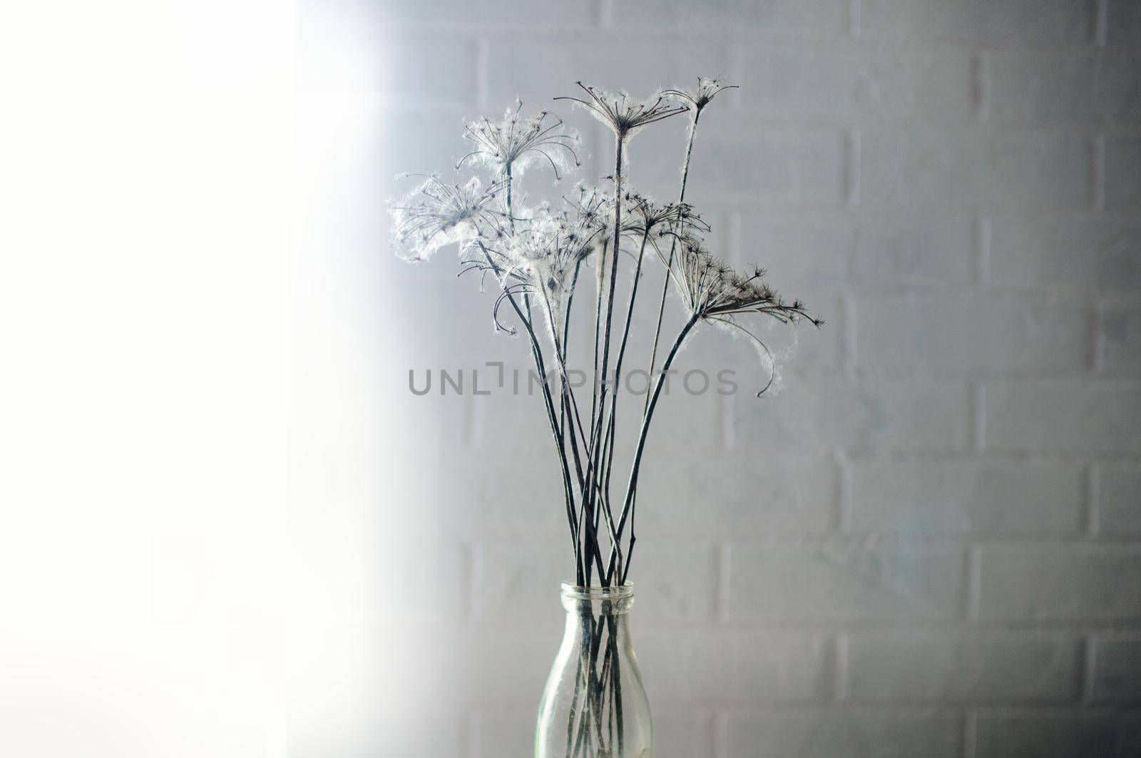 dry flowers braided with cobwebs on a brick wall background