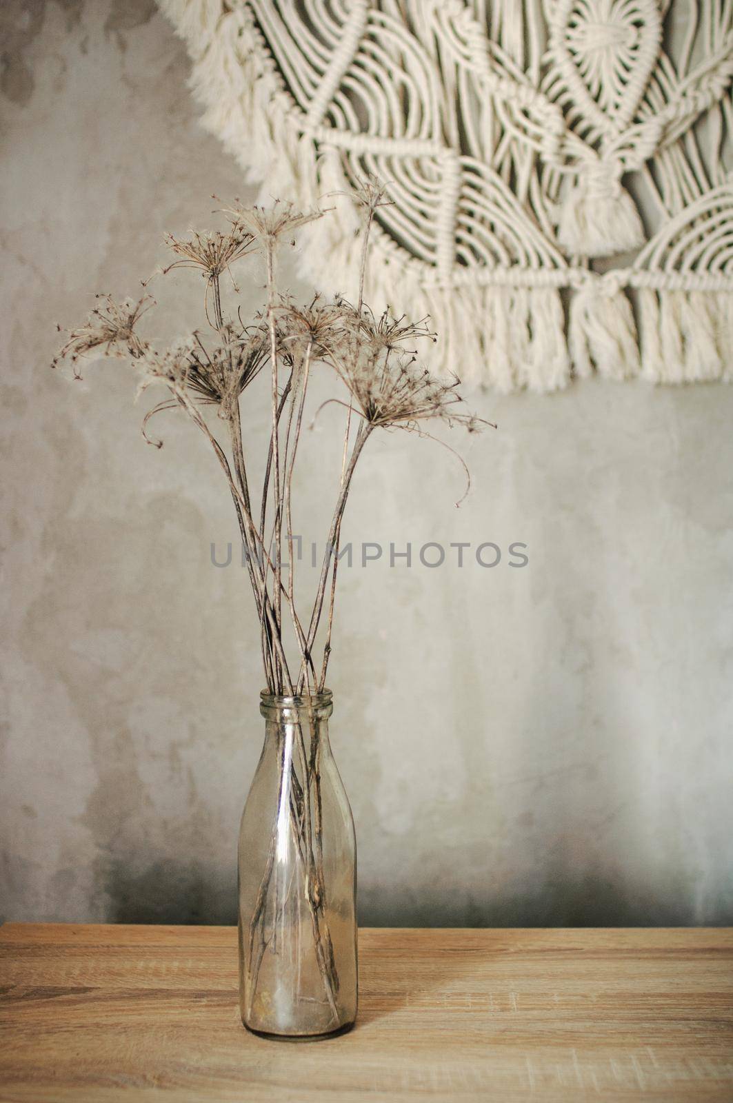 dry flowers braided with cobwebs on a brick wall background by ozornina