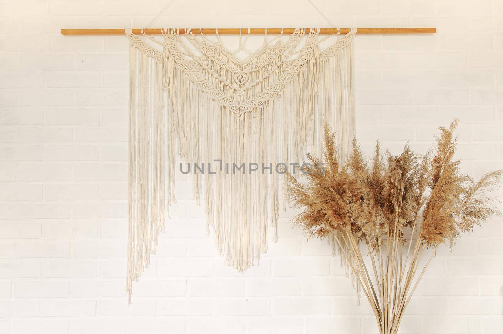 Beige reed against a white wall with a macrame wall panel. A minimal, stylish, trendy concept with a beautiful background with light neutral colors.