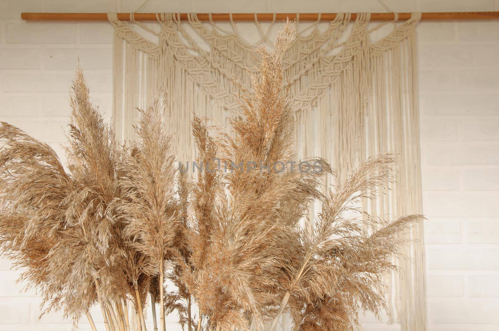 Beige reed against a white wall with a macrame wall panel. A minimal, stylish, trendy concept with a beautiful background with light neutral colors.