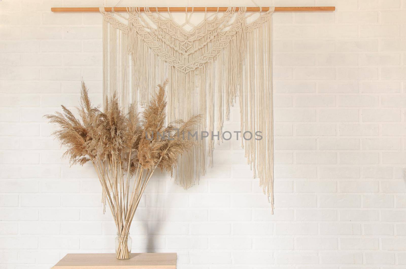 Beige reed against a white wall with a macrame wall panel. A minimal, stylish, trendy concept with a beautiful background with light neutral colors.