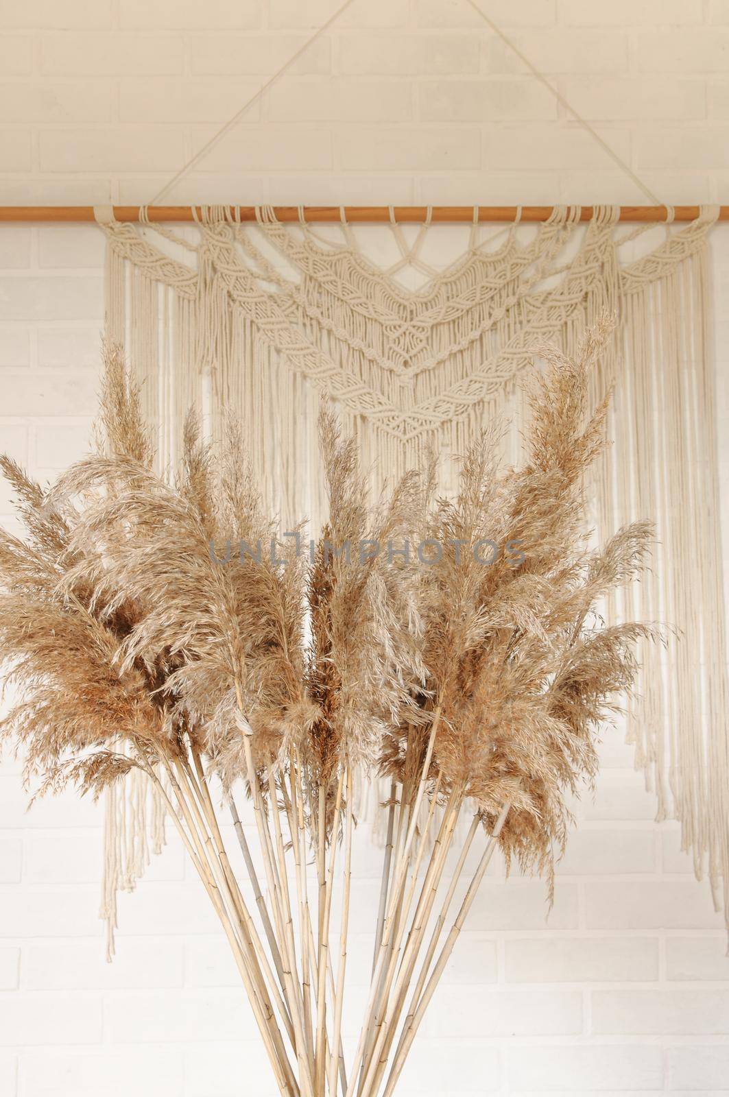 Beige reed against a white wall with a macrame wall panel. A minimal, stylish, trendy concept with a beautiful background with light neutral colors.