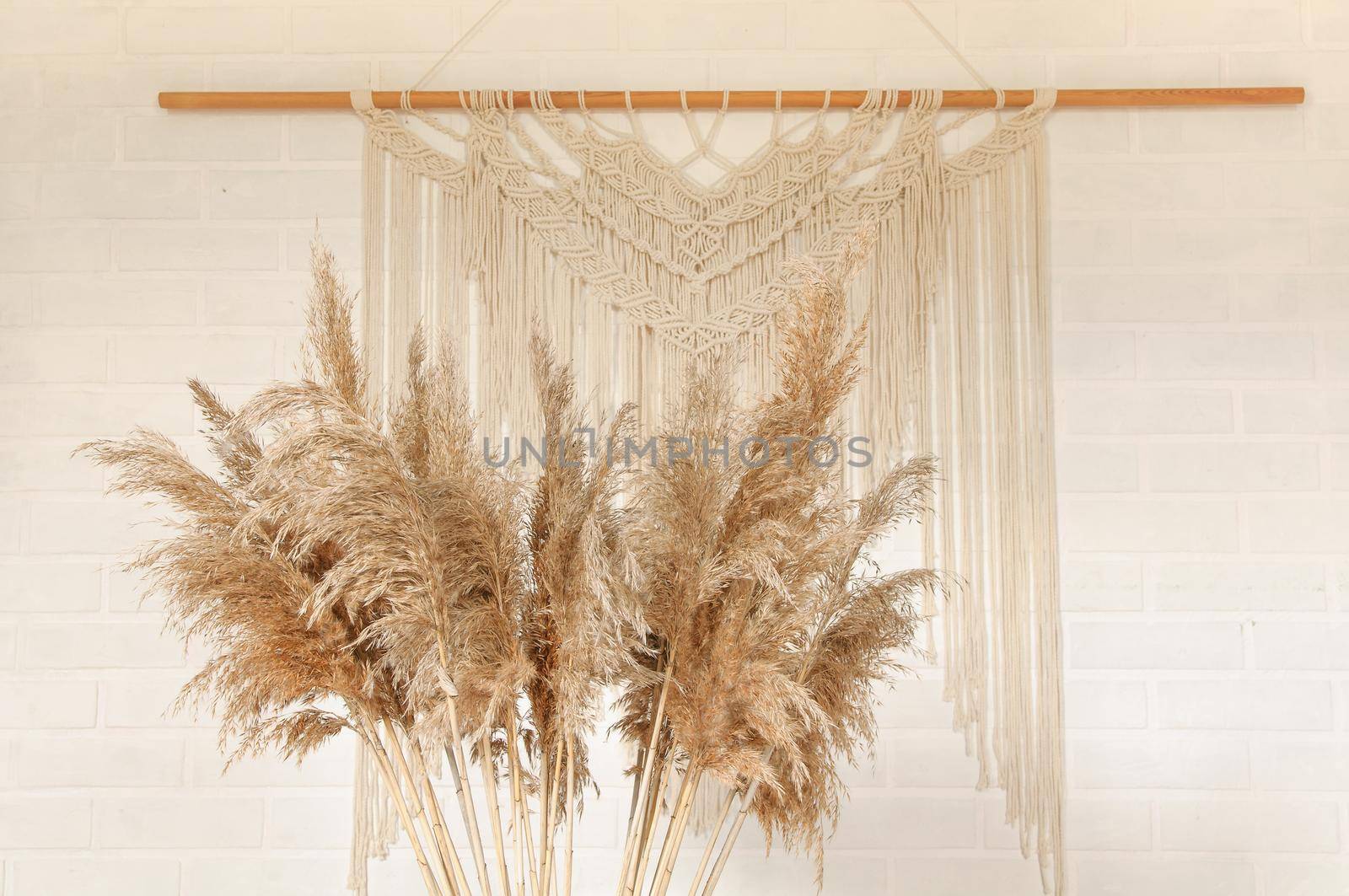 Beige reed against a white wall with a macrame wall panel. A minimal, stylish, trendy concept with a beautiful background with light neutral colors.