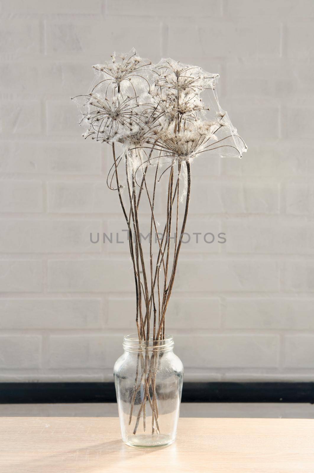 dry flowers braided with cobwebs on a brick wall background