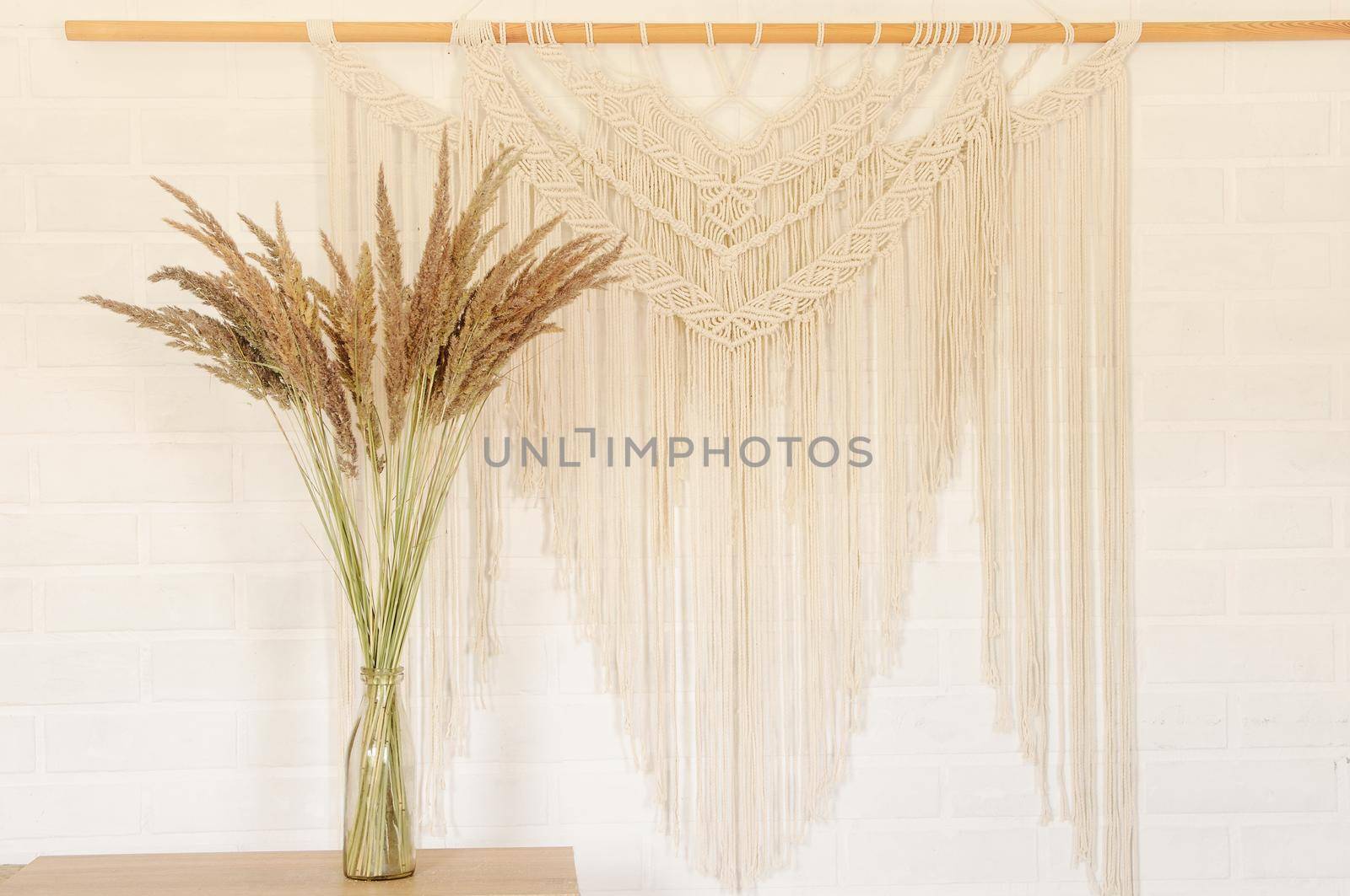 Beige reed against a white wall with a macrame wall panel. by ozornina