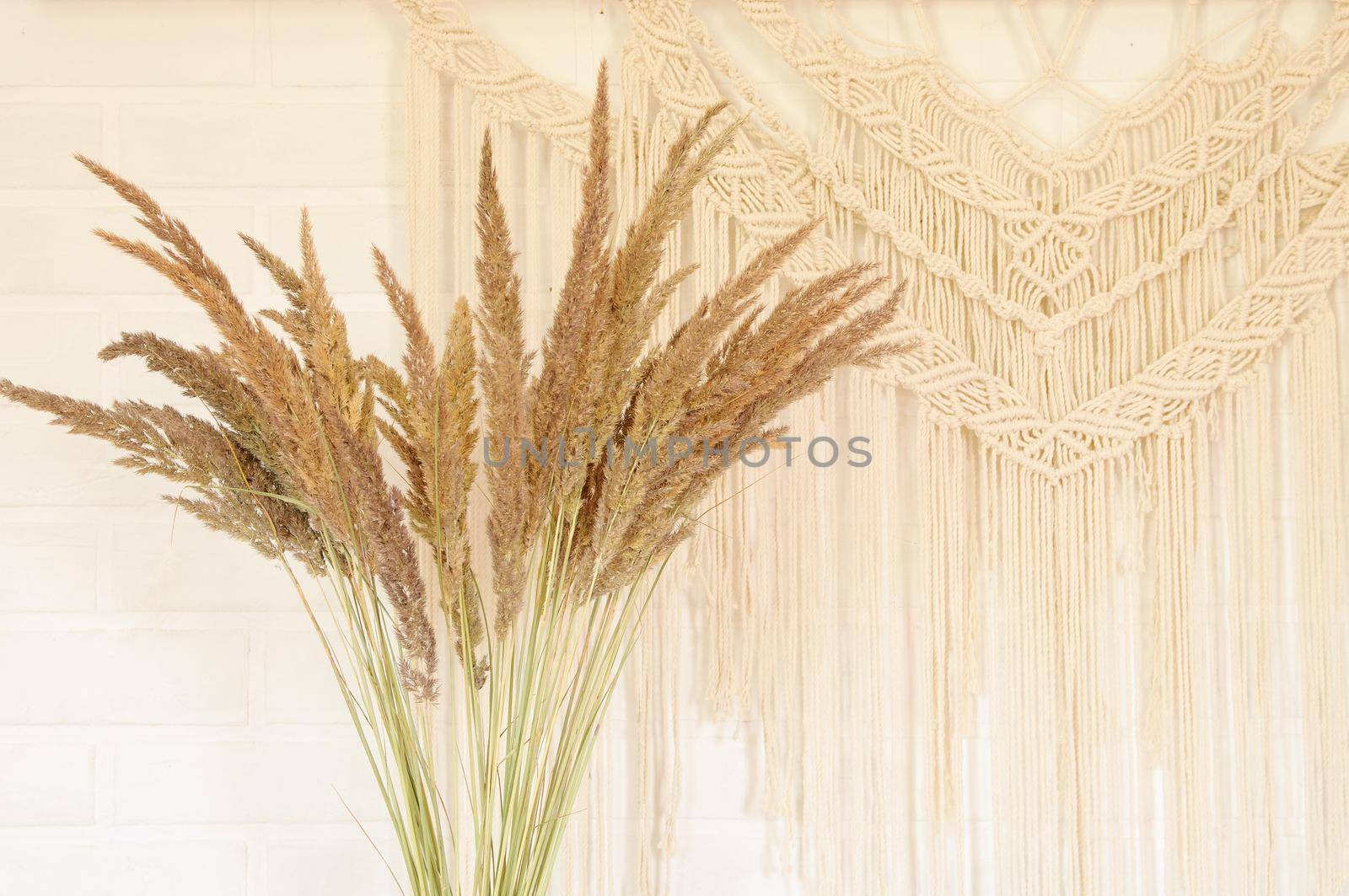 Beige reed against a white wall with a macrame wall panel. A minimal, stylish, trendy concept with a beautiful background with light neutral colors.