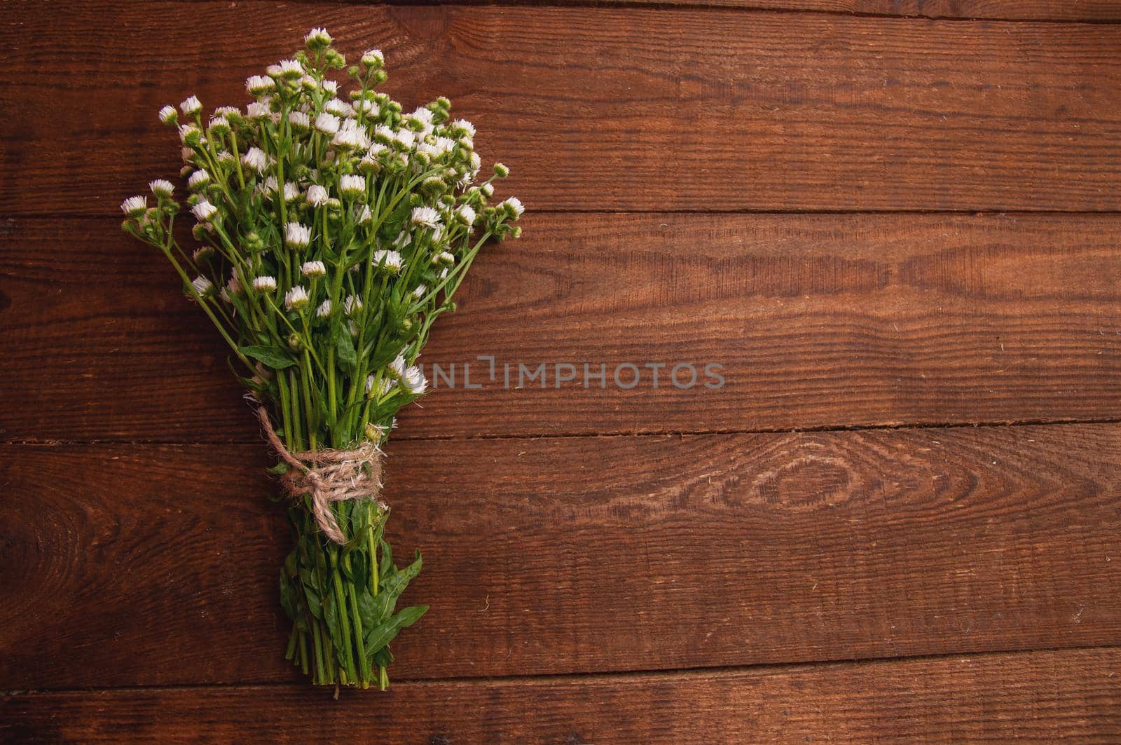 bouquet of chamomile flowers, which lies on a wooden table by ozornina