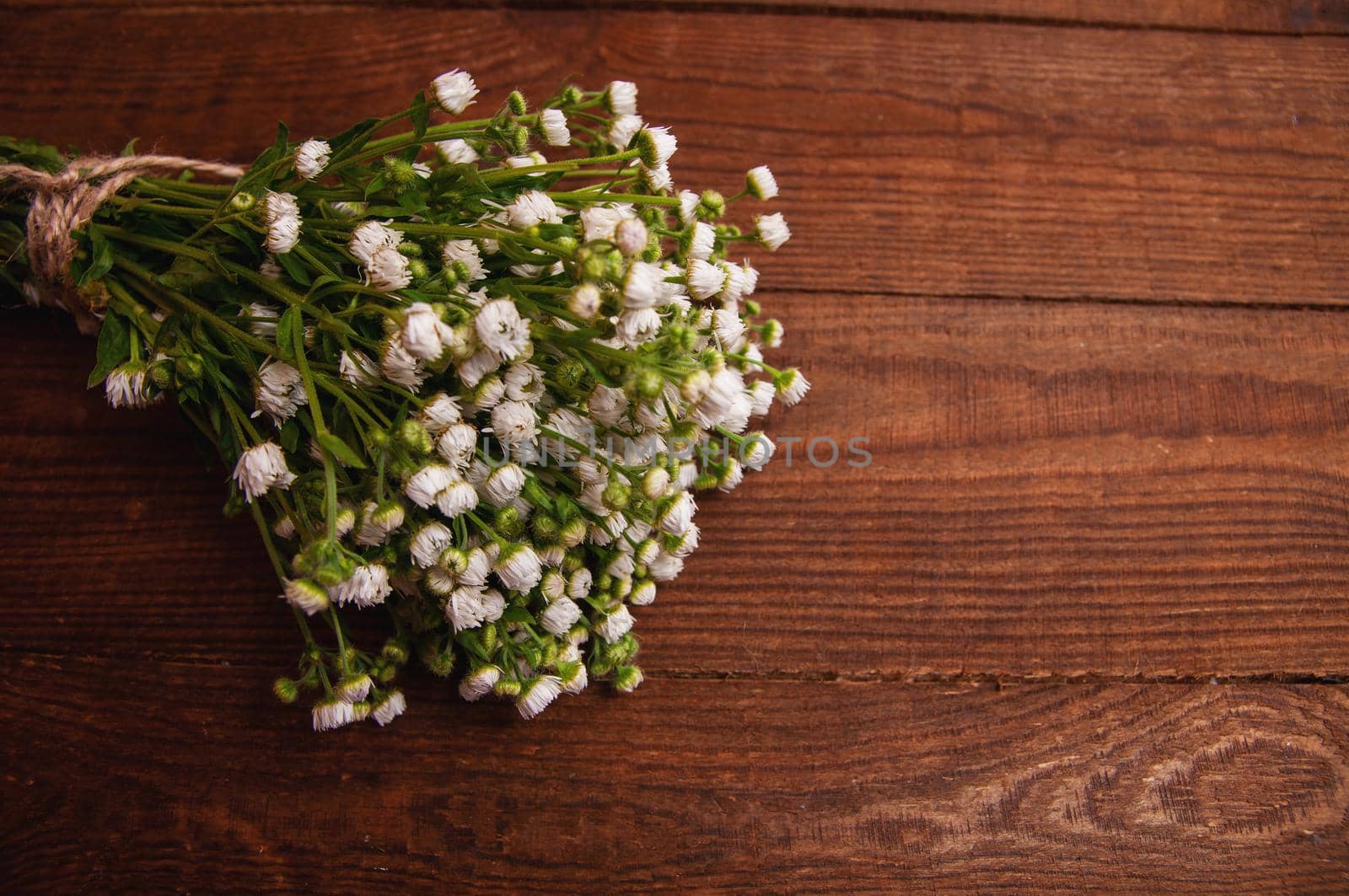 bouquet of chamomile flowers, which lies on a wooden table