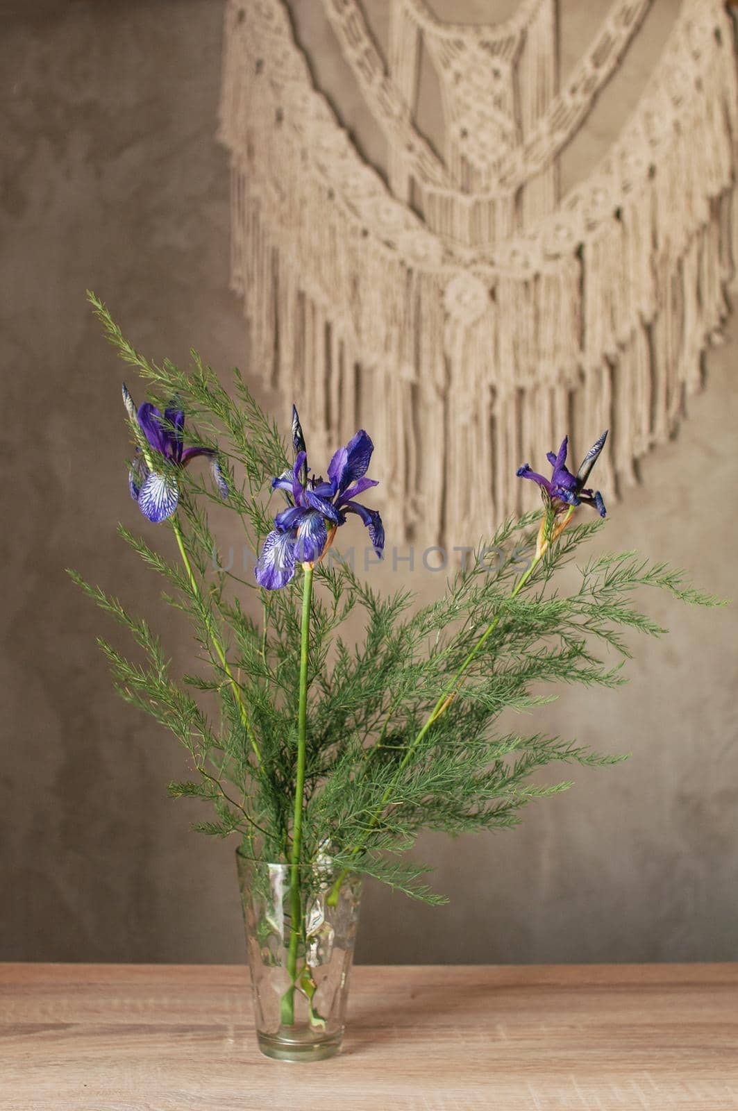 bouquet of wild-growing field plants on the background by ozornina