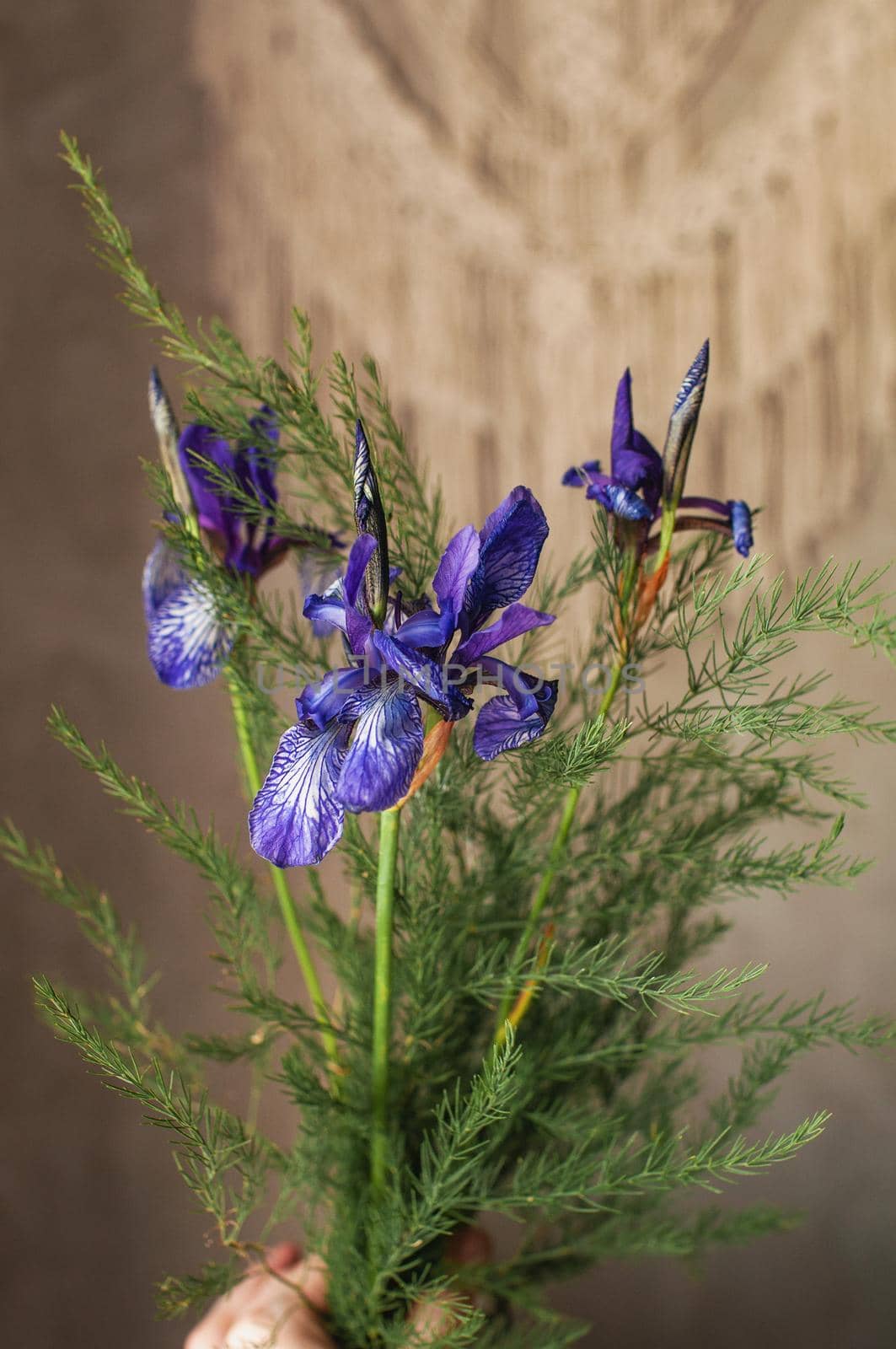 bouquet of wild-growing field plants on the background by ozornina