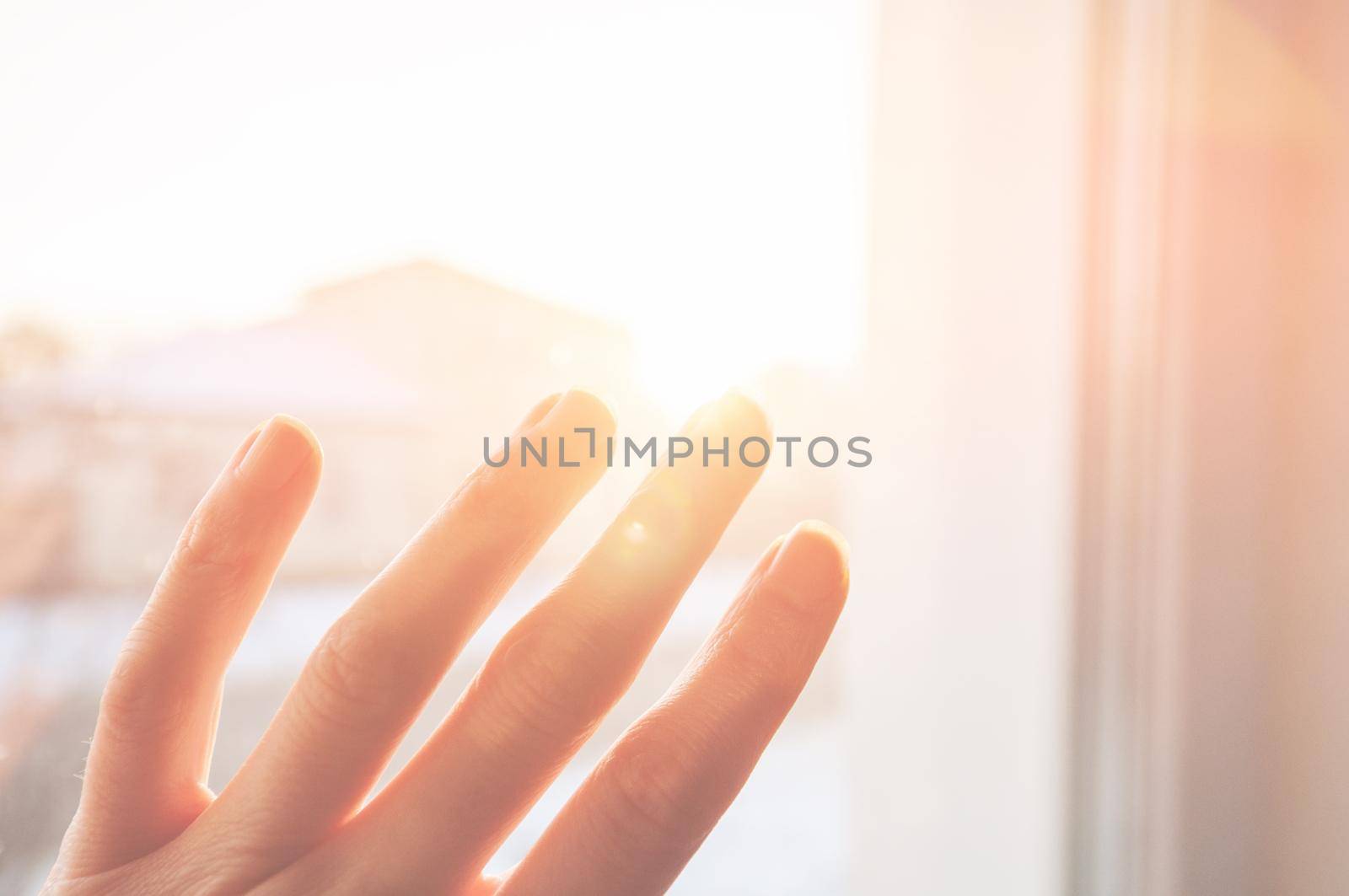 female hand with fingers spread out into light in the rays of the golden sun