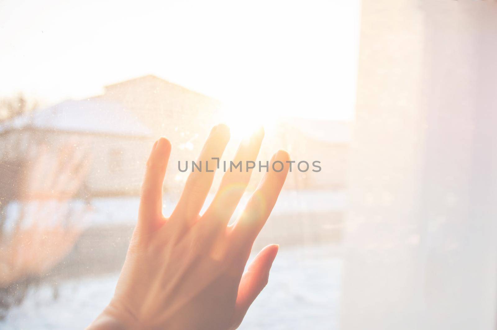 female hand with fingers spread out into light in the rays of the golden sun