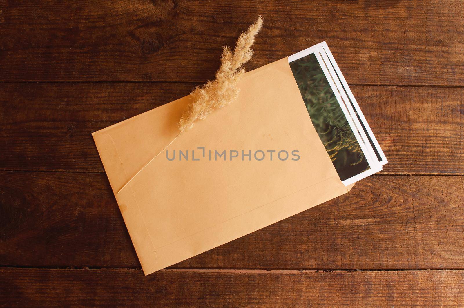 photos are enclosed in a beige envelope, located on a brown wooden table