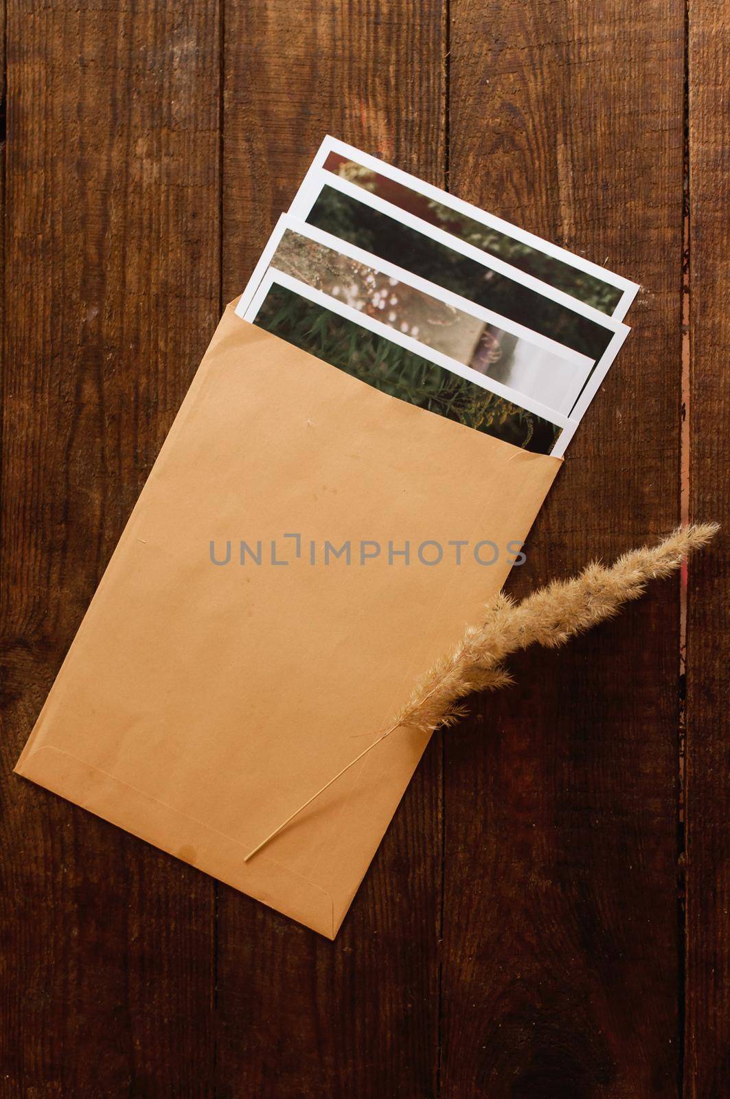 photos are enclosed in a beige envelope by ozornina