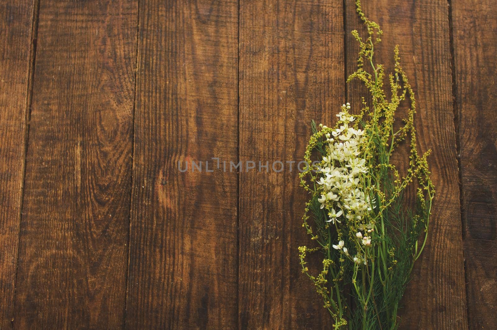 Floral colorful yellow bouqet wildflowers pattern on wooden background.