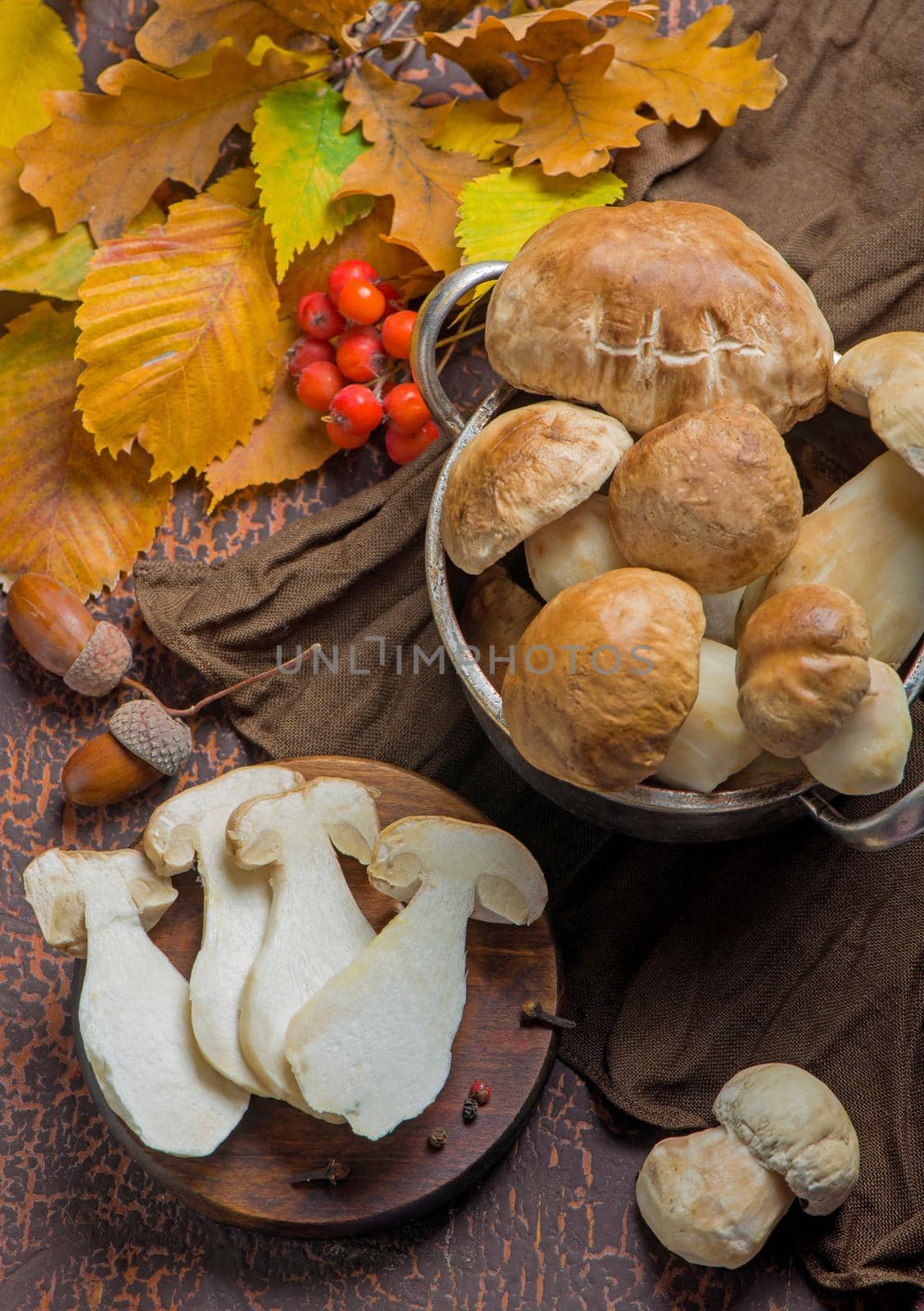 Mushroom Boletus edulis over Wooden Background, close up on wood rustic table. Cooking delicious organic mushroom. Gourmet food by aprilphoto