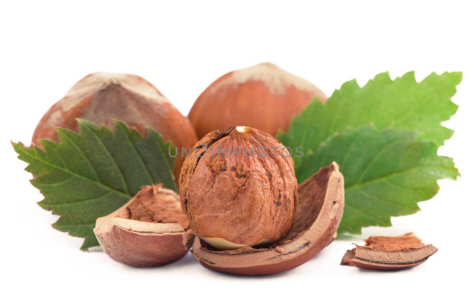 Closeup of hazelnuts, isolated on the white background, clipping path included.