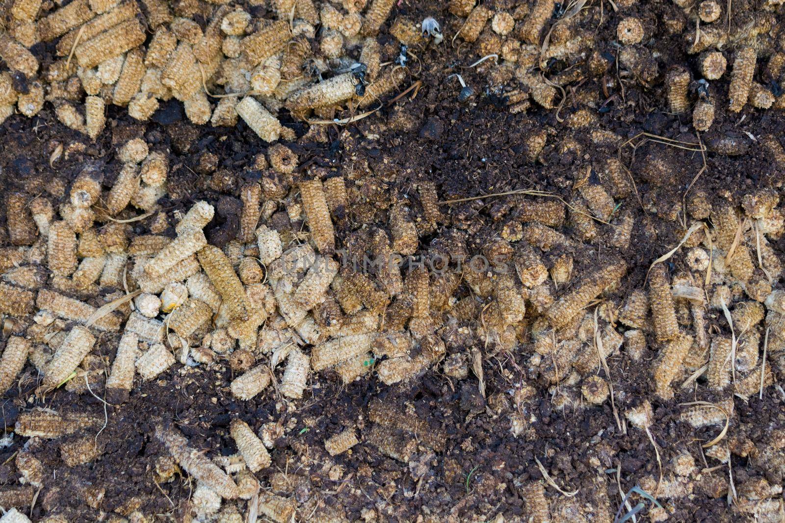 Compost Fertilizer or terreau made of corn cob arrange as Pile by thampapon