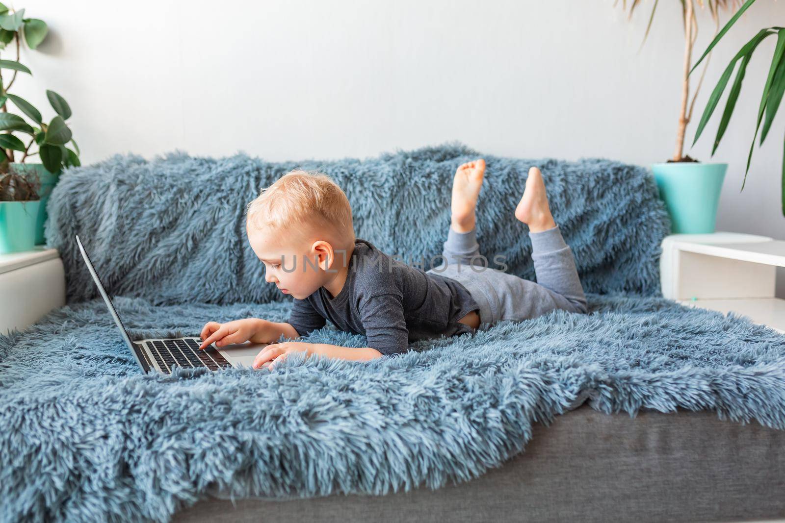 Little baby boy playing on laptop lying on sofa at home. by Len44ik