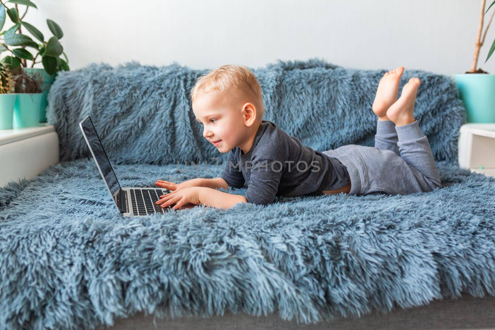 Little baby boy playing on laptop lying on sofa at home. E-learning, distance studying, distance communication concept